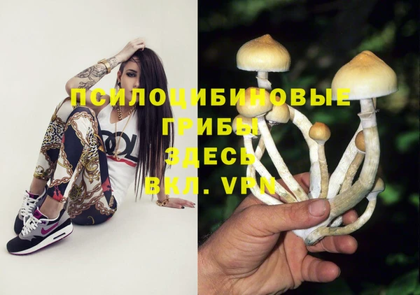 первитин Вяземский