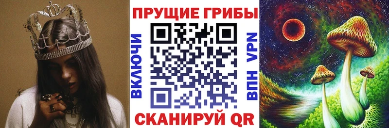 купить закладку Камызяк Псилоцибиновые грибы мицелий
