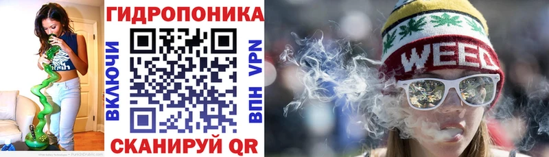omg как войти Камызяк Бошки Шишки план